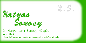 matyas somosy business card