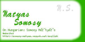 matyas somosy business card